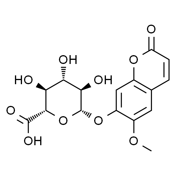 东莨菪亭betad葡糖苷酸