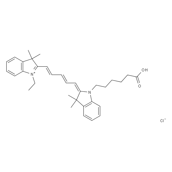 脂性Cy5 dye
