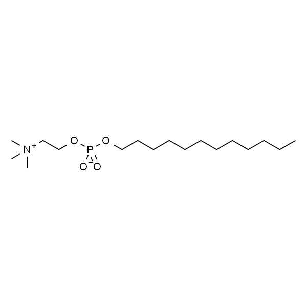 FOS-维生素B-12