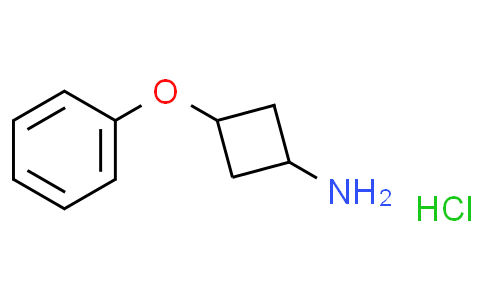 顺-3-苯氧基环丁胺盐酸盐