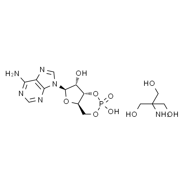 腺苷-3′,5′-环单磷酸