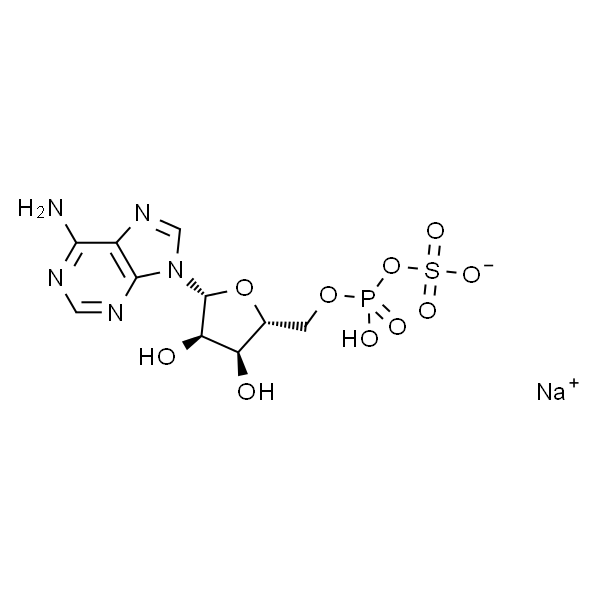 Adenosine 5'-phosphosulfate sodium salt 