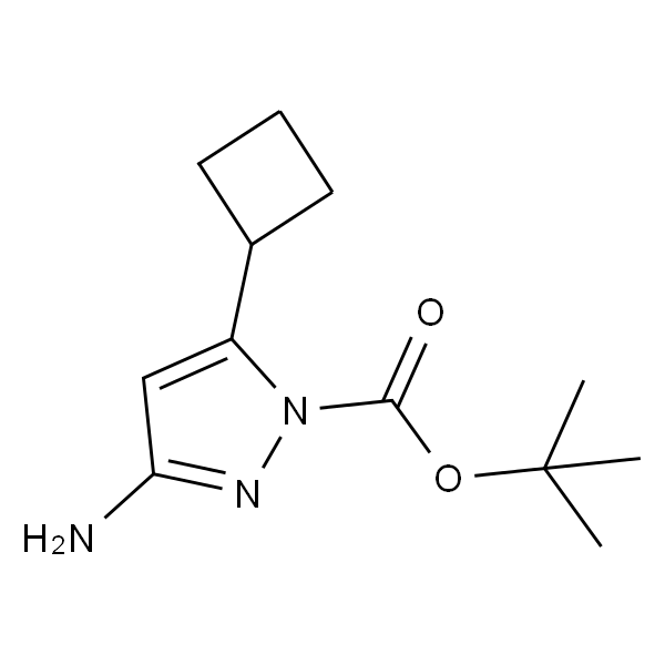 3-氨基-5-环丁基-1H-吡唑-1-羧酸-1,1-二甲基乙基酯