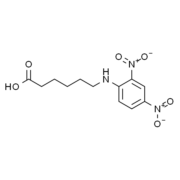 N-(2,4-二硝基苯)-6-氨基己酸