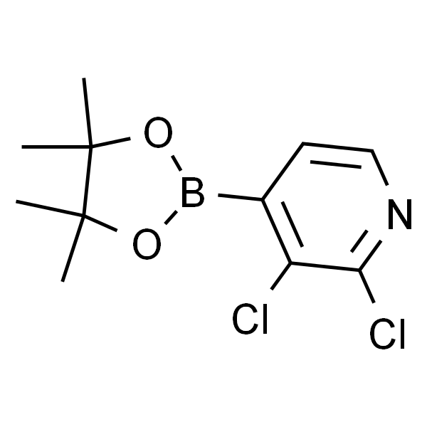2,3-二氯吡啶-4-硼酸频哪酯