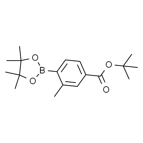 3-甲基-4-(4,4,5,5-四甲基-1,3,2-二氧硼烷-2-基)苯甲酸叔丁酯