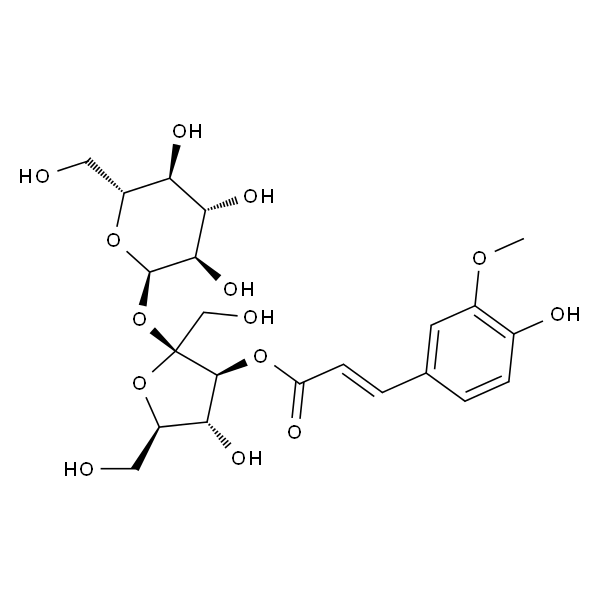 西伯利亚远志糖A5