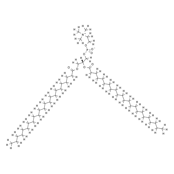 1,2-ditricosanoyl-sn-glycero-3-phosphocholine