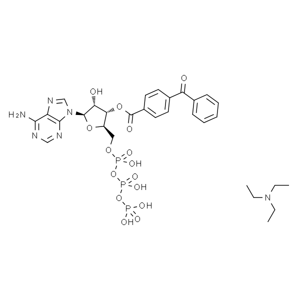 2'(3')-O-(4-Benzoylbenzoyl)adenosine 5'-triphosphate triethylammonium salt 