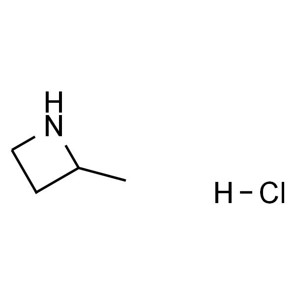 2-甲基氮杂环丁烷盐酸盐