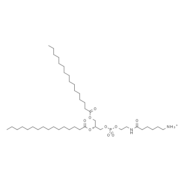 1,2-Dipalmitoyl-sn-Glycero-3-Phosphoethanolamine-N-(hexanoylamine)