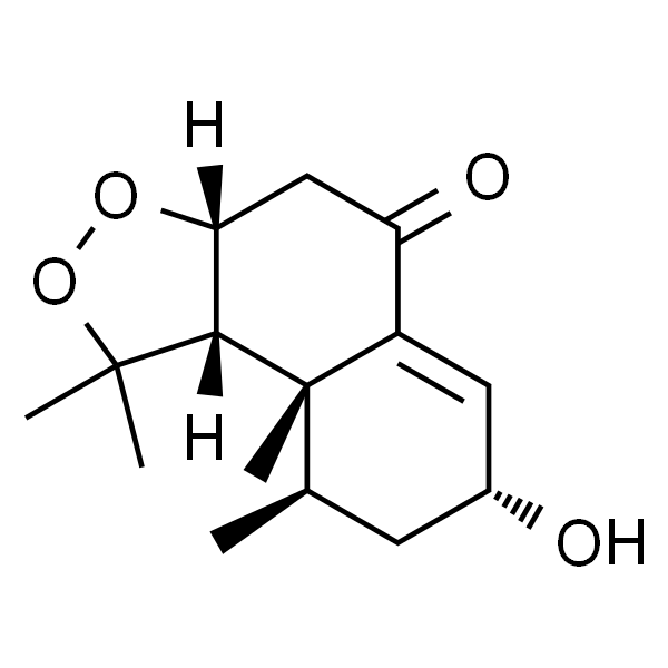 Kanshone B