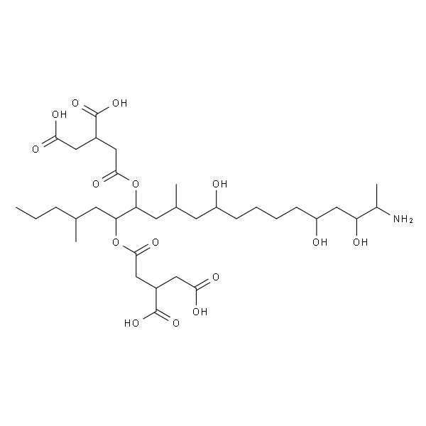 伏马菌素B1