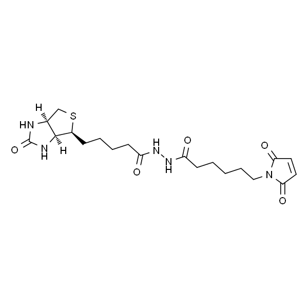 生物素-马来酰亚胺
