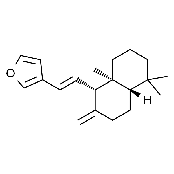 二羟丙茶碱E