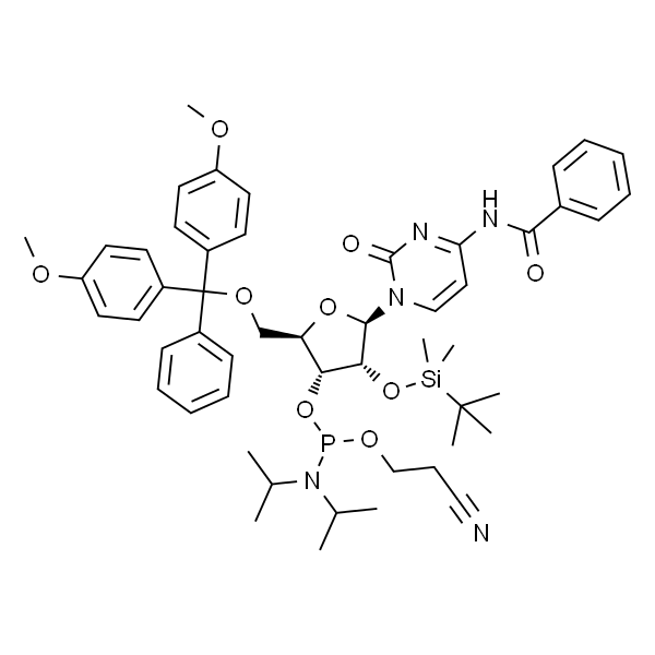 Bz-rC亚磷酰胺单体