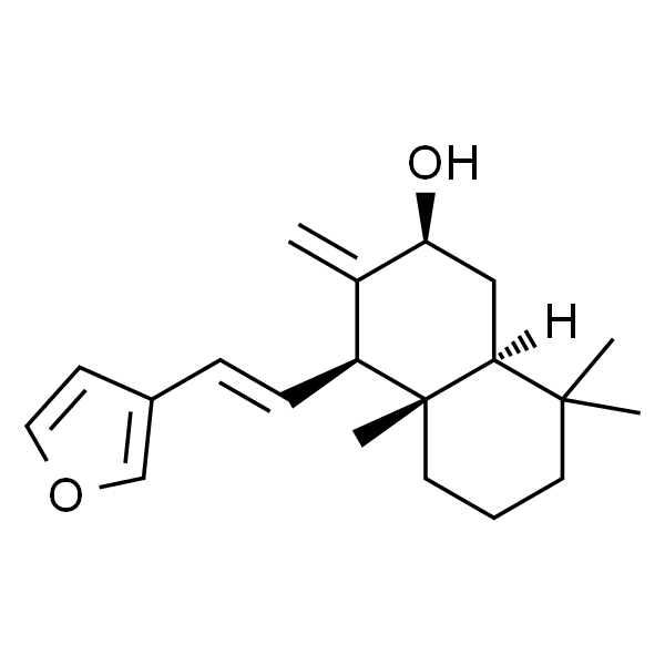 二羟丙茶碱A