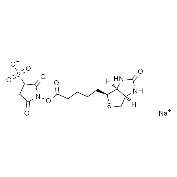 生物素 3-磺酸基-N-羟基琥珀酰亚胺钠盐