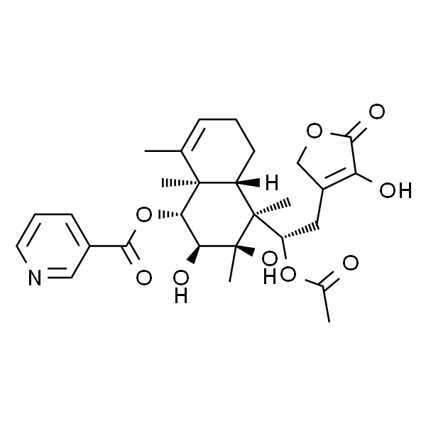Scutebata C