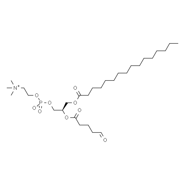 1-palmitoyl-2-(5''-oxo-valeroyl)-sn-glycero-3-phosphocholine