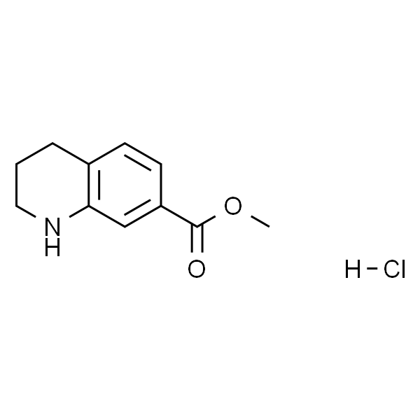 1,2,3,4-四氢喹啉-7-羧酸甲酯盐酸盐