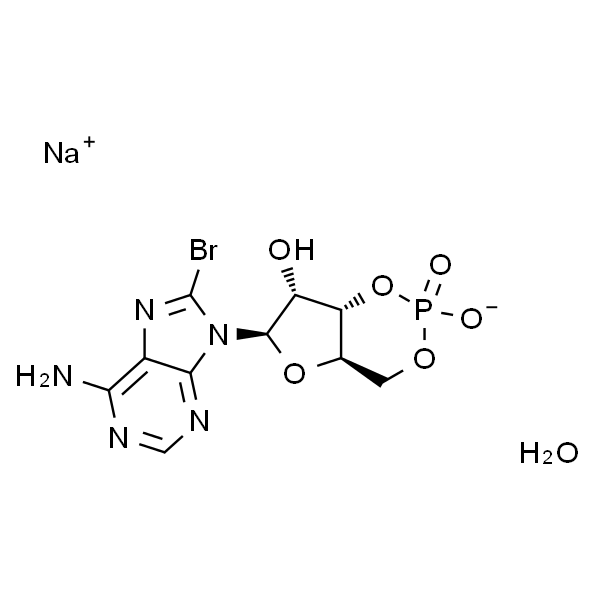 8-溴腺苷-3′,5′-环单磷酸