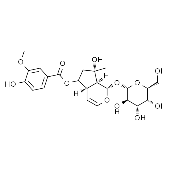 6-O-香草酰基筋骨草醇
