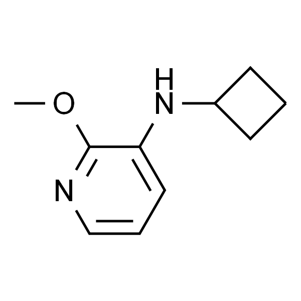 N-环丁基-2-甲氧基吡啶-3-胺