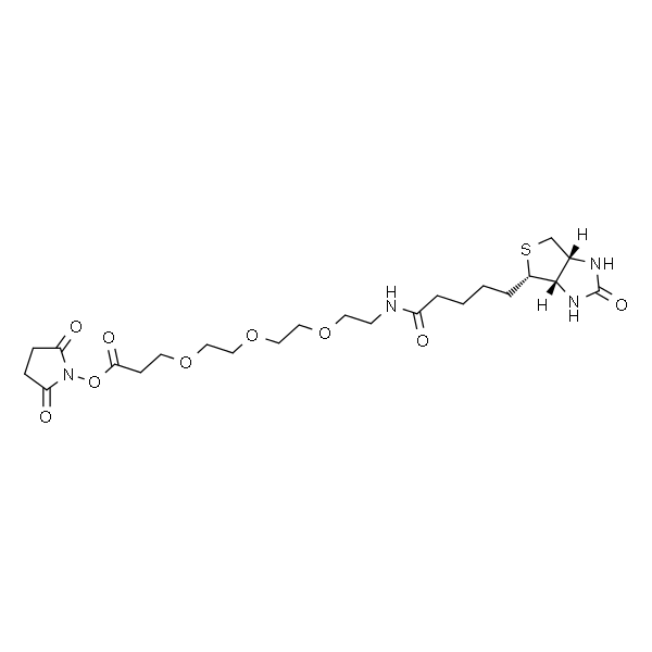 Biotin-PEG3-NHSester