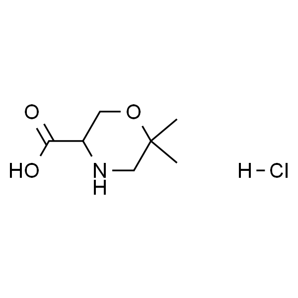 6,6-二甲基吗啉-3-羧酸盐酸盐