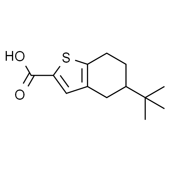 5-(叔丁基)-4,5,6,7-四氢苯并[b]噻吩-2-羧酸