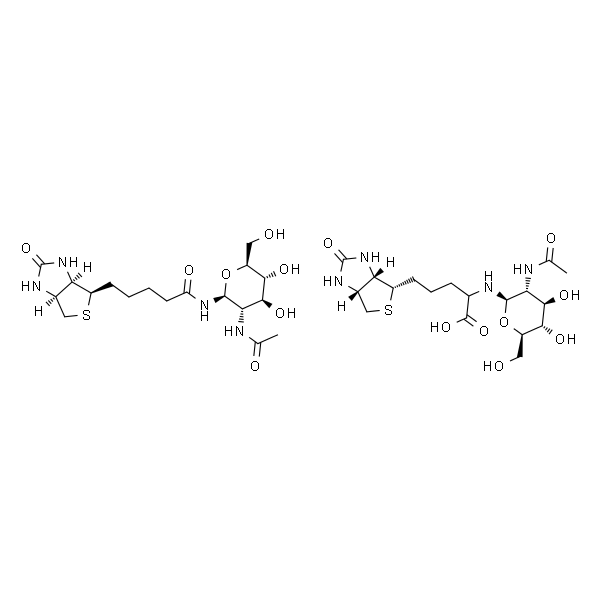 N-GlcNAc-生物素