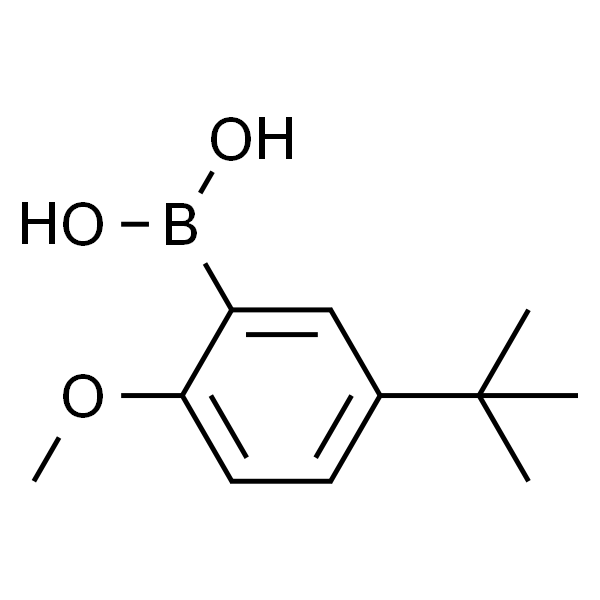 5-叔丁基-2-甲氧基苯硼酸