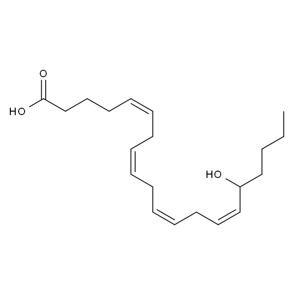 16-hydroxy-5(Z),8(Z),11(Z),14(Z)-eicosatetraenoic acid