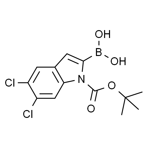 1-Boc-5,6-Dichloro-1H-indole-2-boronic acid