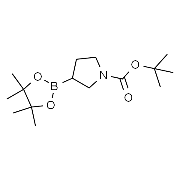 N-BOC-吡咯烷-3-硼酸频哪醇酯