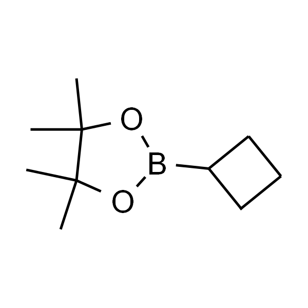 2-环丁基-4,4,5,5-四甲基-1,3,2-二氧硼杂环戊烷