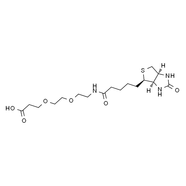 Biotin-PEG2-acid