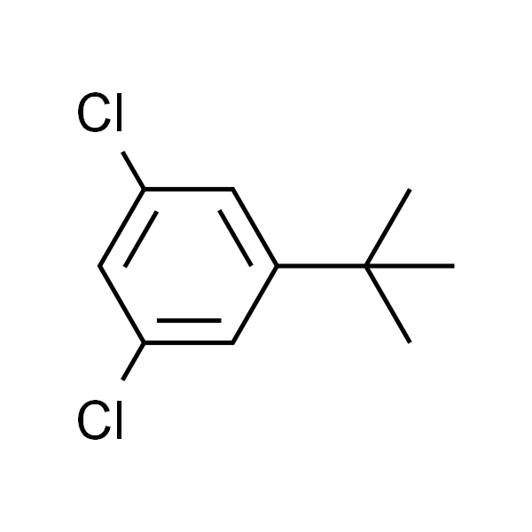 1-(叔丁基)-3,5-二氯苯