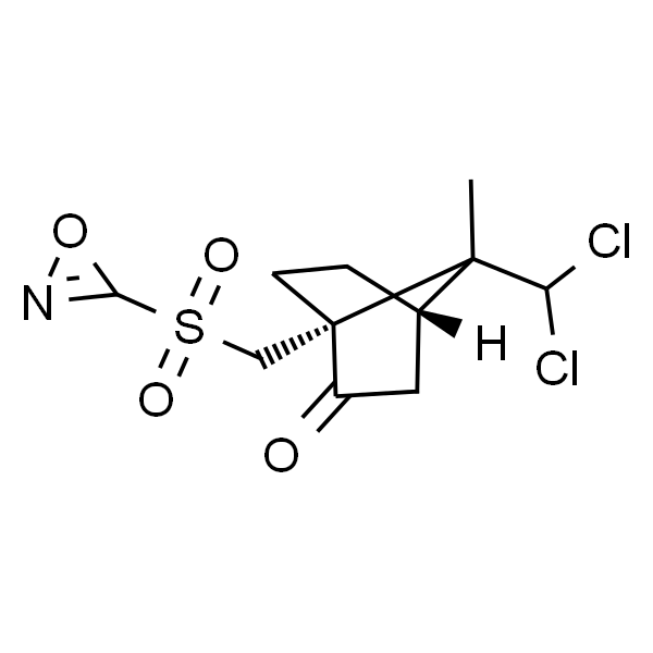 (-)-8,8-二氯樟脑磺哑嗪