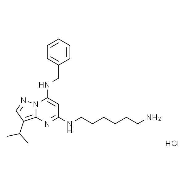 N5-(6-氨基己基)-N7-苄基-3-异丙基吡唑并[1,5-a]嘧啶-5,7-二胺盐酸盐