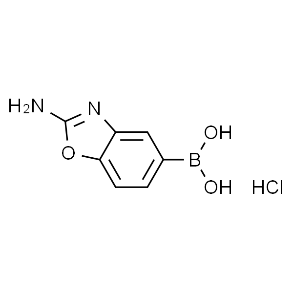 (2-氨基苯并[d]噁唑-5-基)硼酸盐酸盐