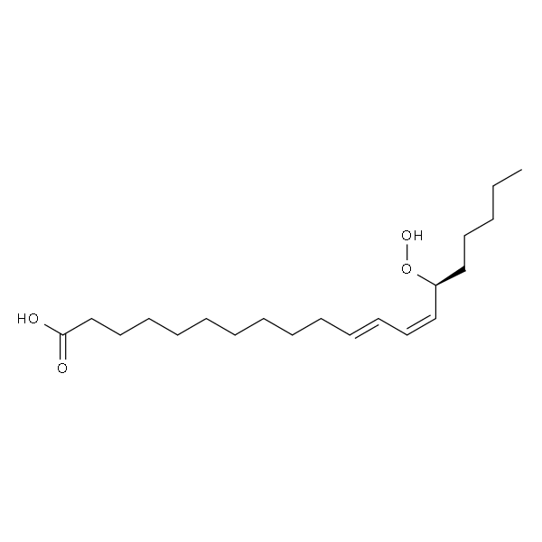 15(S)-hydroperoxy-11(Z),13(E)-eicosadienoic acid