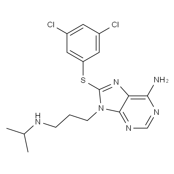 PU-WS13