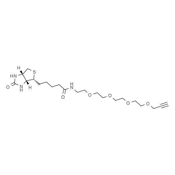 Biotin-PEG4-alkyne