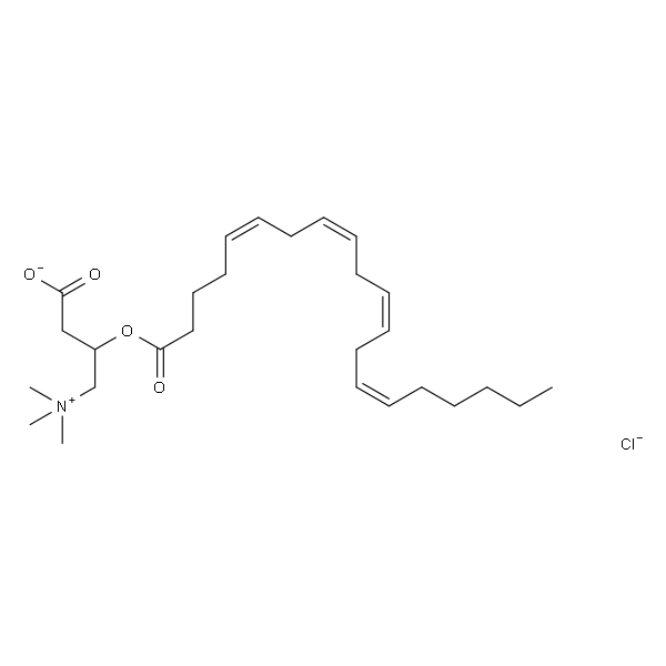 Eicosanoyl-L-Carnitine HCl salt
