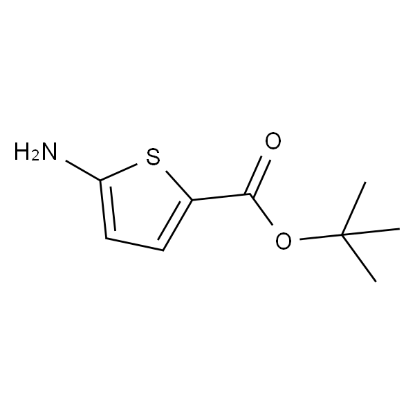 5-氨基噻吩-2-羧酸叔丁酯