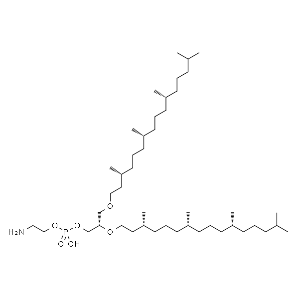 1,2-di-O-phytanyl-sn-glycero-3-phosphoethanolamine