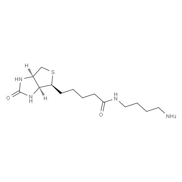 N-(4-氨基丁基)生物素酰胺