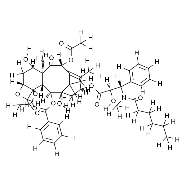 N-Methyltaxol C